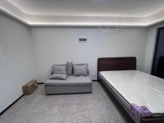 港惠三期东区多套 新房 单间  （一房一厅） 精装修拎包入住