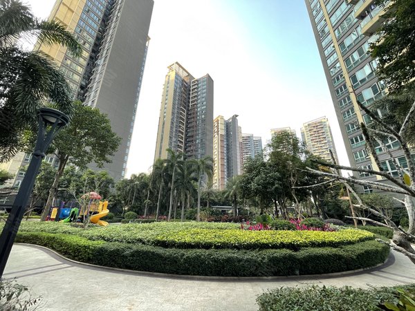 深圳坪山坪山京基御景印象四期锦龙地铁口 京基四期大四房 中山学校