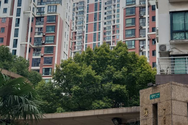 上海二手房 绿地世纪城二期(世纪同乐) > 杨亮亮解读绿地世纪城二期