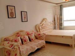 吉林船营解放西路押一付三 光泽香林漫步电梯8楼一室 空调 取暖好 吉林西站出租房源真实图片