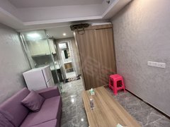 嘉旺城一房，紫色沙发有韵味，家私家电齐全，拎包入住.