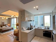 怀化鹤城城北无中介可月付 步步高商业广场 火车站附近 温馨公寓 家电齐全出租房源真实图片