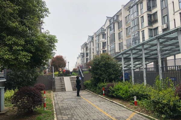 常州小区 金坛小区 金坛区政府小区 城南花园 城南花园怎么样