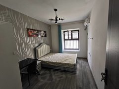 合肥新站陶冲湖京商附近，新站广场对面，168中学，陶冲湖公园，中建开元公馆出租房源真实图片