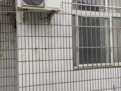 安阳龙安钢城购物宗村新村 4室2厅1卫出租房源真实图片