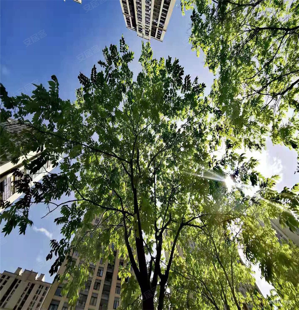 金麟花园历史新低价格带车位全新装修哦靠近商贸城北下朱