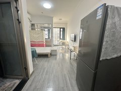 武汉蔡甸恒大绿洲中国健康谷健康新天地 1室1厅1卫  电梯房 精装修43平米出租房源真实图片