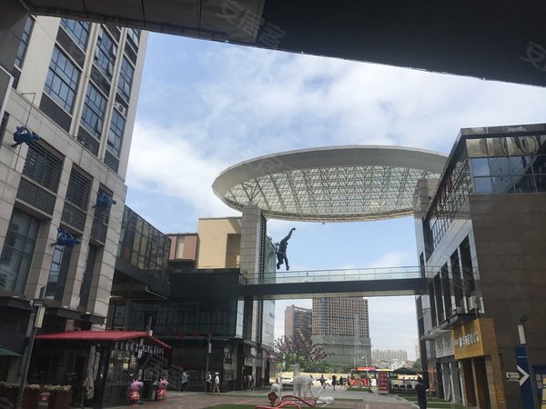 奥园城市天地 1室1厅2卫 电梯房 精装修46平米,番禺租房-广州58安居客