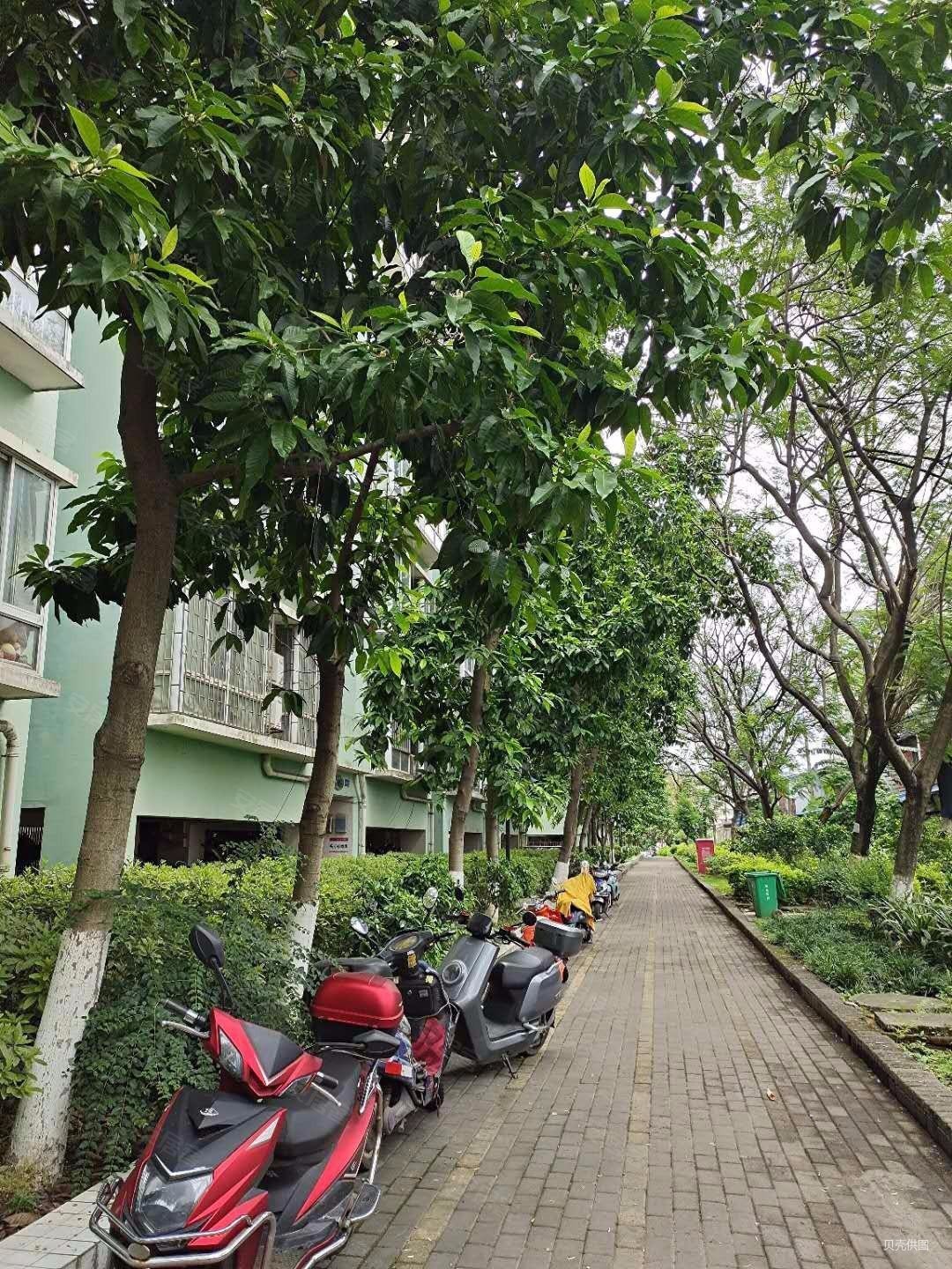 柳北北雀路康城精装大4房带电梯有钥匙性价比高