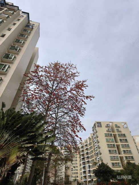 金田花园4室2厅2卫114.09㎡东南126万