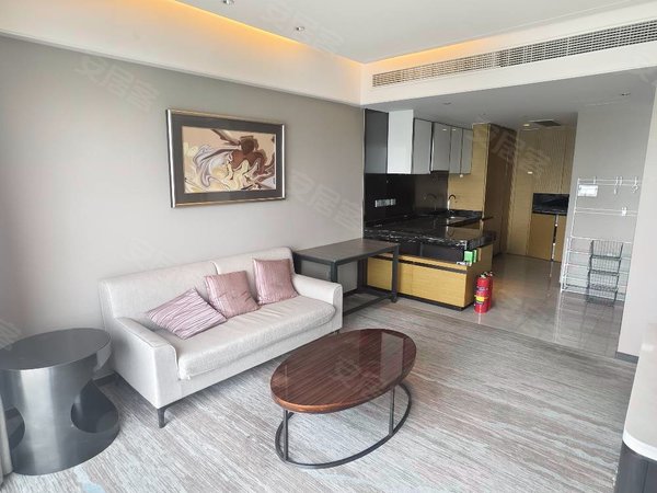 【多图】晋合公寓,湖东租房,晋合公寓豪华装修一室一厅近丰隆汇圆融