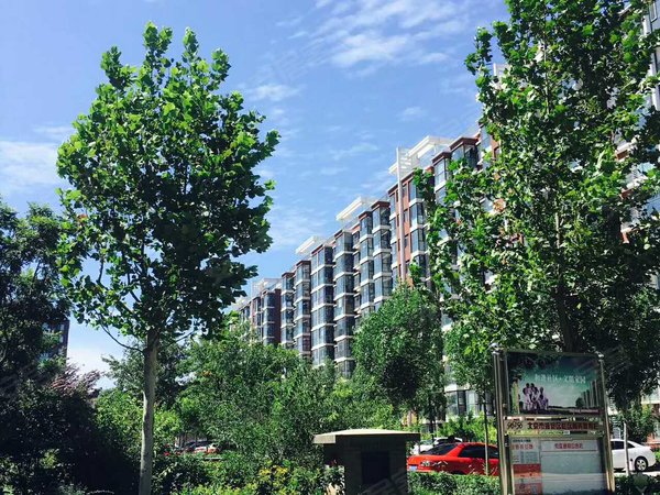 北京海淀马连洼裕和嘉园(裕和嘉园)柳浪家园,树村丽景苑经典一居室