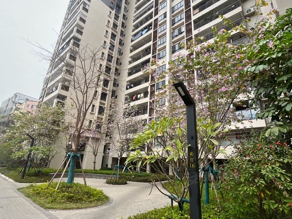 广州黄埔科学城小新塘回迁房j区神舟路地铁站科学城附近,小区环境绿化