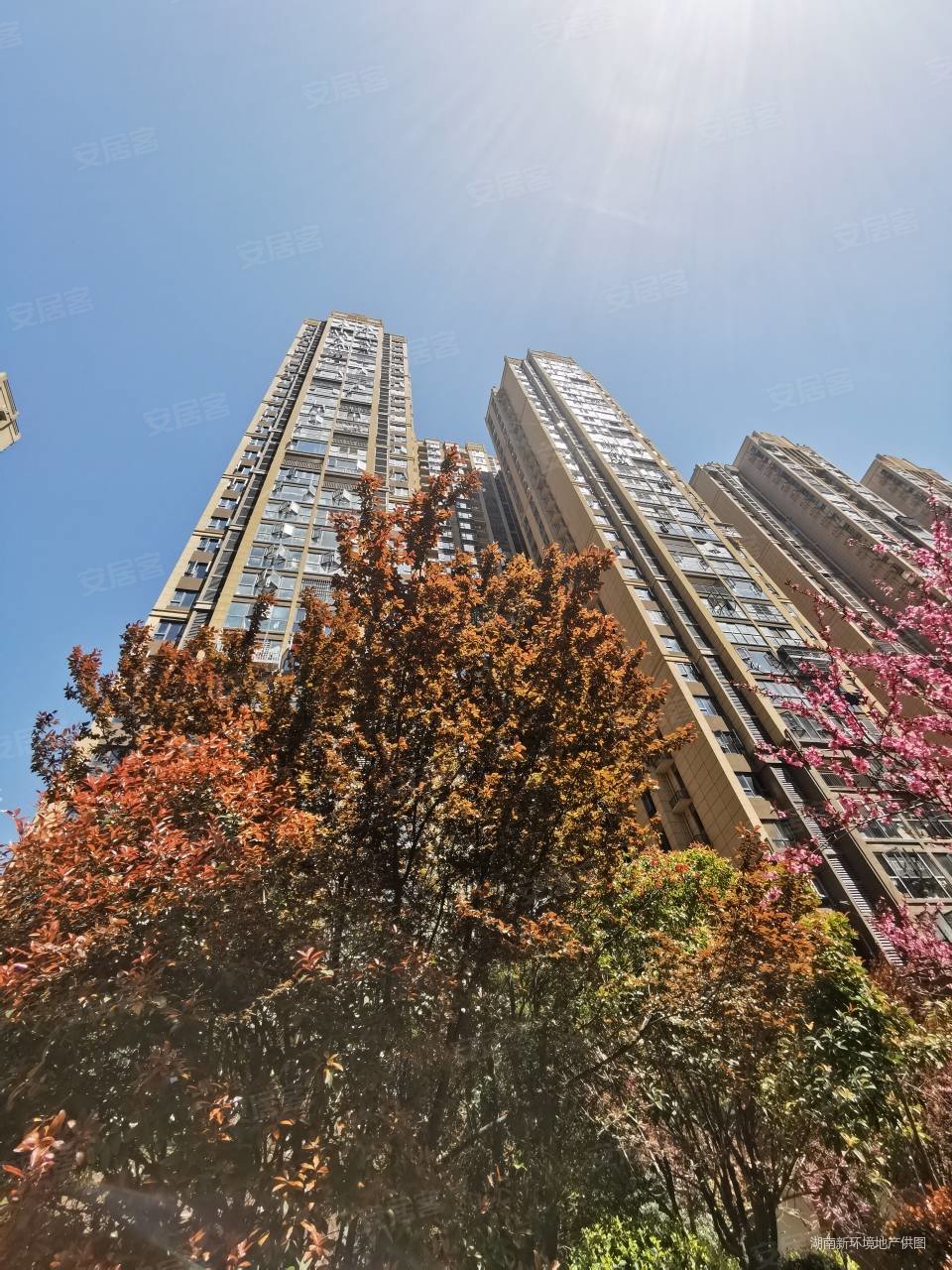 115 好三房,荣盛花语城二手房,108万,3室2厅,2卫,115平米-长沙安居客