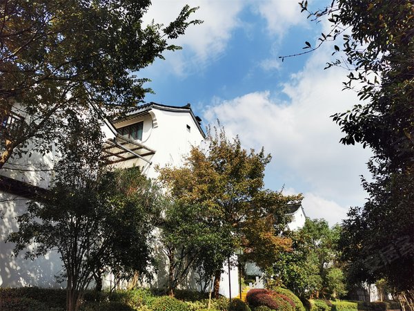 杭州富阳银湖九龙一号银湖野生动物园旁 简装中式排屋 共三层全套房