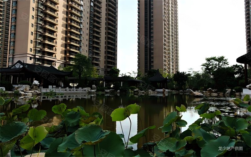 佛山房产网>佛山二手房>南海二手房>丹灶二手房>桂丹颐景园(a区)>800