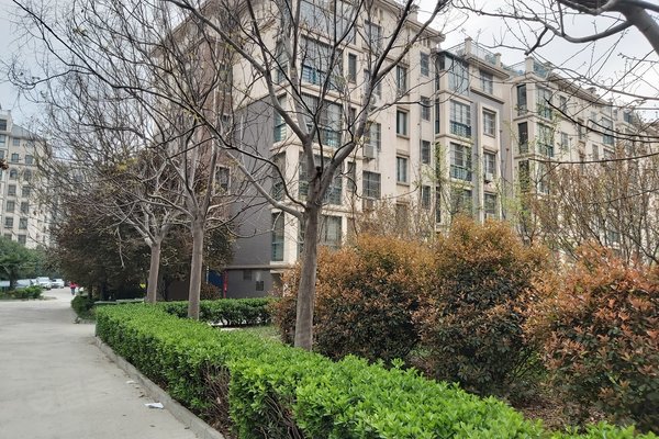 菏泽小区 单县小区 单县城区小区 幸福小镇