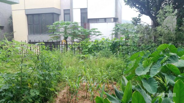 顺德二手房 大良二手房 清晖园二手房 凯丽山庄 