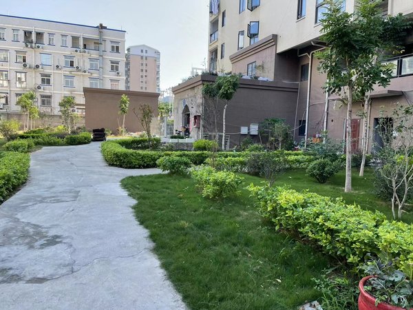 厦门湖里县后金汇花园地铁口金汇花园 2室1厅1卫 精装修 电梯房 配套