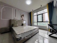 合肥新站瑶海家具城0中,介,月付, 东二环与包公大道交叉口的莱茵河畔小区出租房源真实图片