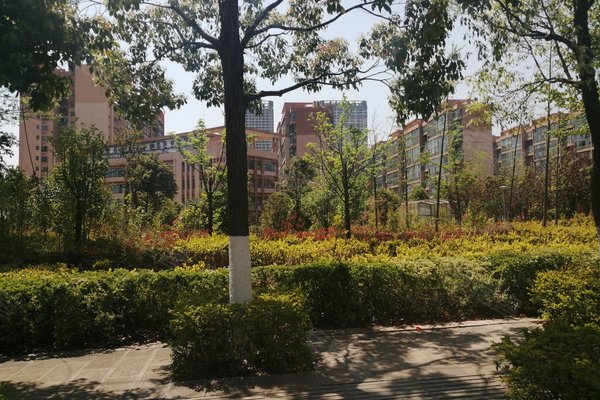 昆明小区 呈贡小区 市政府小区 沐春园