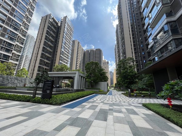 广州荔湾广钢新城保利堂悦新上 网红聚集地 适合直播 豪宅标杆 全新未