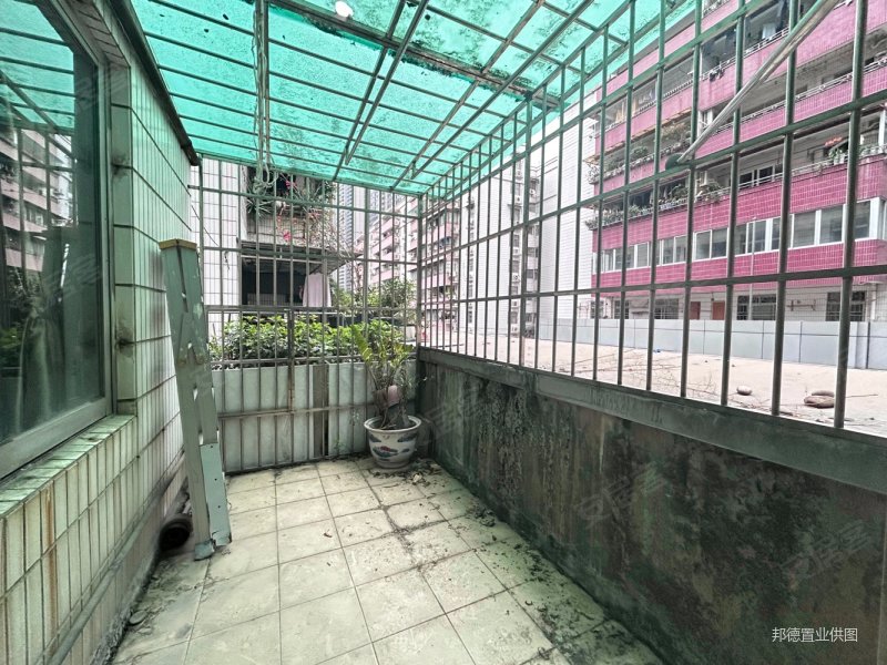 杨箕金羊花园商业配套成熟南北通透产权清晰交通便利