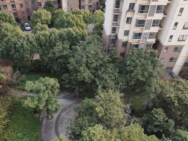 苏州平江平江新城嘉裕花园(姑苏)嘉裕花园小两室拎包入住房随时看房