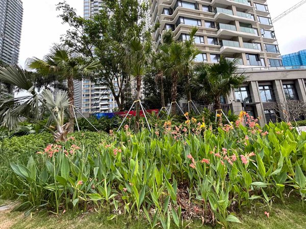 珠海横琴湾仔华发四季峰景一期近横琴,十字门华发四季峰景 三房一卫