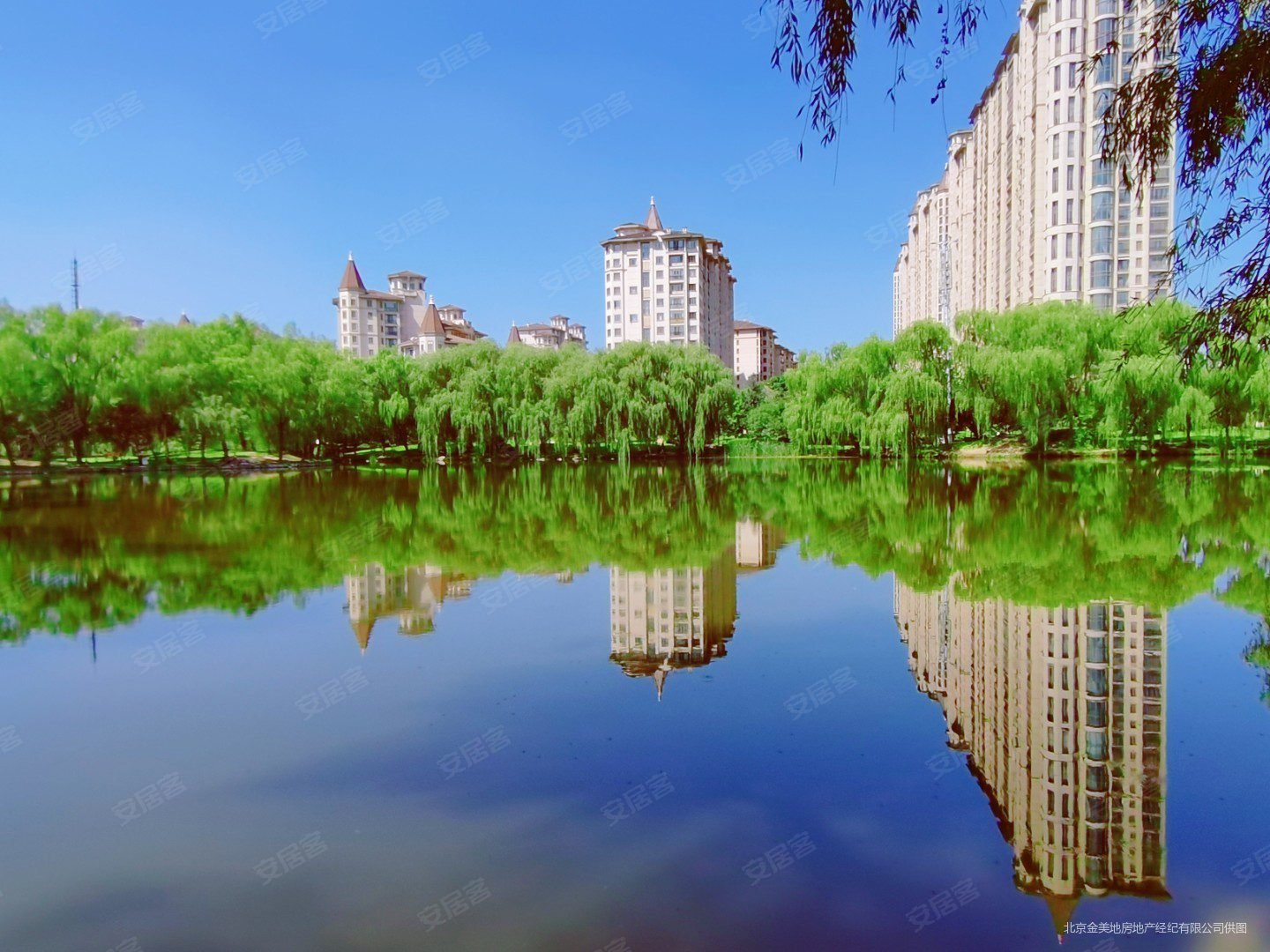 星河湾畅园4室2厅5卫336㎡南北2559万