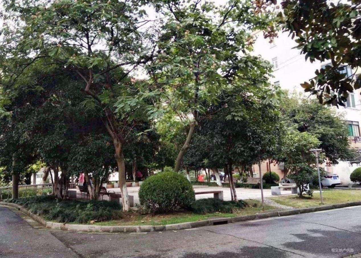 双柏小区精装修业主着急出售图片真实