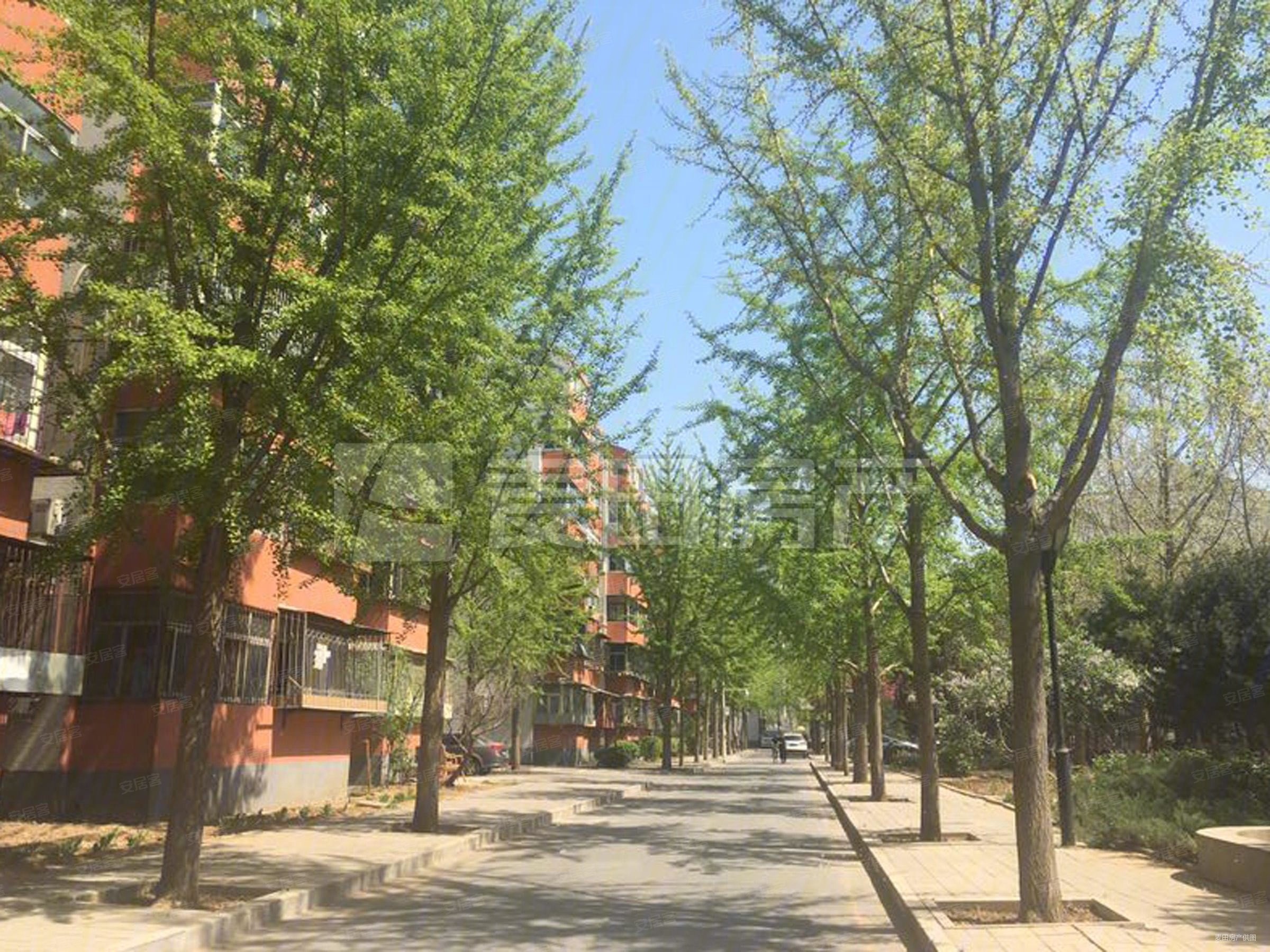 装修好南北两居室 可直接入住 户型方正采光好 价格优惠,上地东里二手