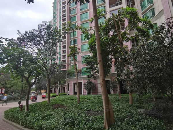 【多图】新月明珠花园,大石租房,电梯采光好,家私电器齐,实图实价,三