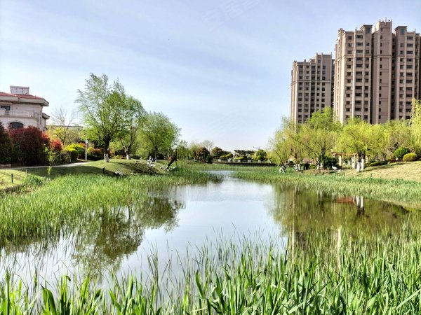 【多图】青岛碧桂园,棘洪滩租房,碧桂园精装套三双卫好房出租!