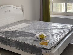 常州溧阳城中南北通透宽敞明亮干净出租房源真实图片