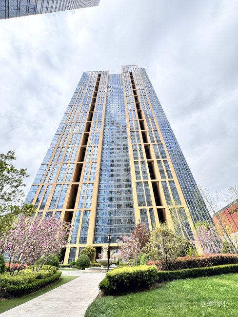 华润悦府 前排2号楼好位置 业主诚售 看好可见面详聊价格