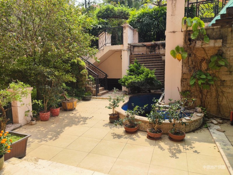 东骏豪苑别墅面湖景6房2厅带大花园诚意出售