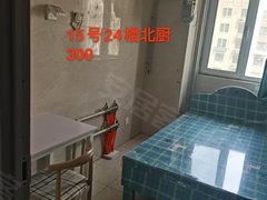 临邑城区临邑市区景和街300元一个月,押一付一出租房源真实图片