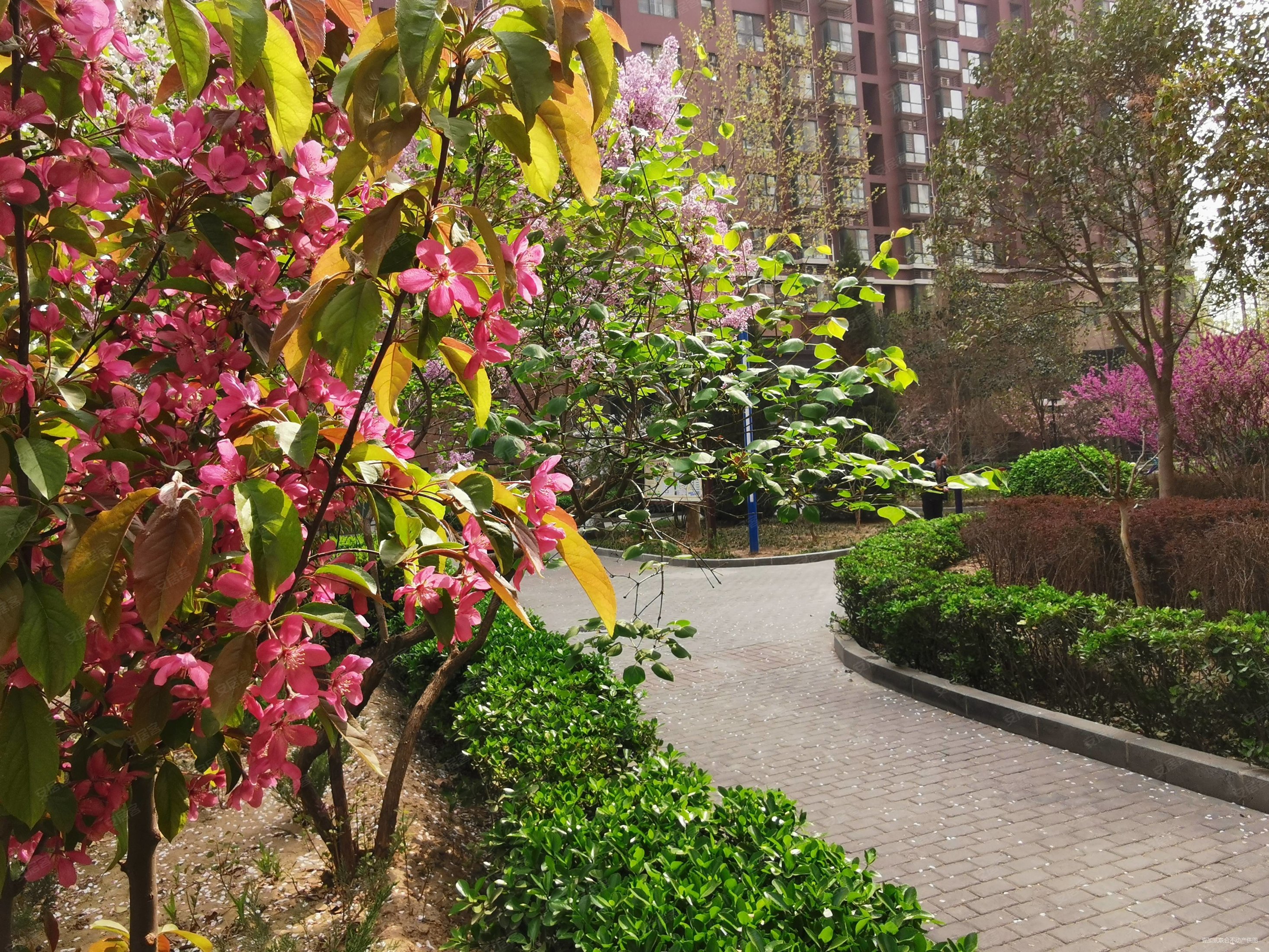 冠诚苑(冠城)二手房,276万,3室2厅,2卫,128平米-石家庄安居客