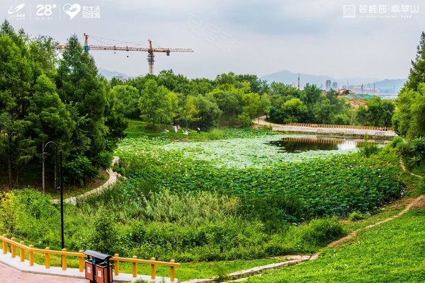 碧桂园翡翠山,深东路-吉林碧桂园翡翠山二手房,租房-吉林安居客