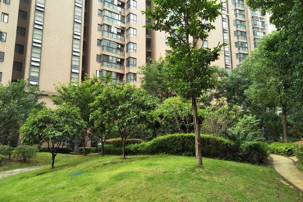 金地中心城(东区)