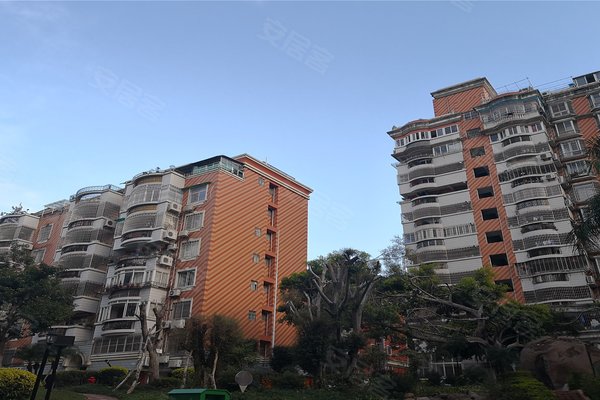 金枫园优点,不足,金枫园怎么样,金枫园周边房产中介经纪人评价-厦门