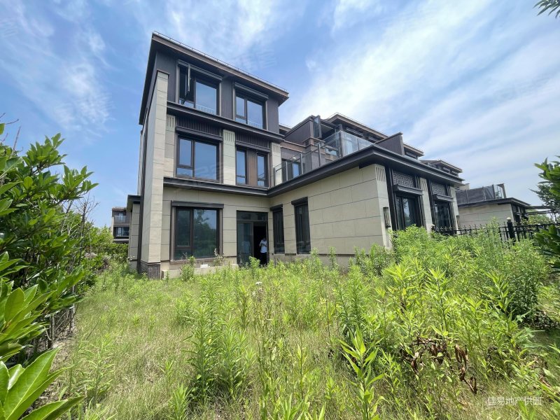 金地水悦堂别墅