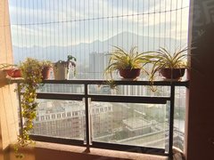 东阳东阳市区建材城中天学府诚品 2室2厅1卫出租房源真实图片