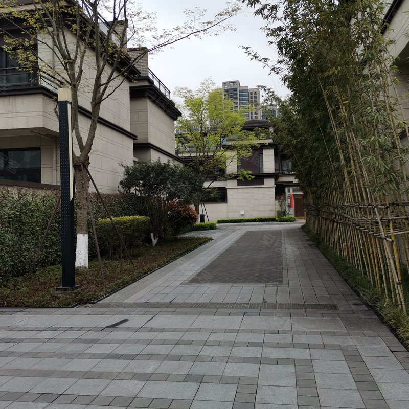 【万科观承(别墅), 万科观承(别墅)小区专家解读页】- 重庆58同城