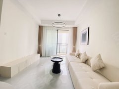 雅安雨城万达片区可以月付,无费用,精装,雅州大道,市政府,西康广场附近出租房源真实图片