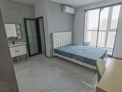 合肥肥西肥西县城阶 绿地新都会 精装一室整租 肥西医院 地铁口 方育电器出租房源真实图片