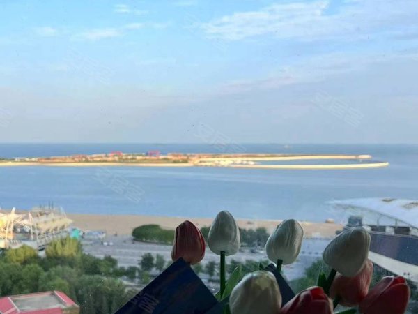 秦皇岛海港燕大中交碧桂园逅海碧桂园逅海9号楼的楼层看海的效果年租
