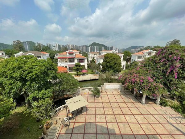 广州增城凤凰城碧桂园凤凰城凤雅苑凤凰城 凤雅苑独栋带700平花园后靠