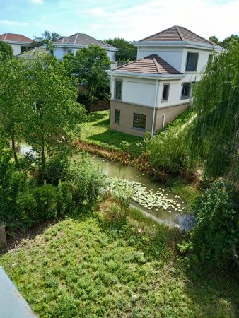 急卖澄湖水岸 独栋大别墅 三期 邻水系 花园550平 大开间